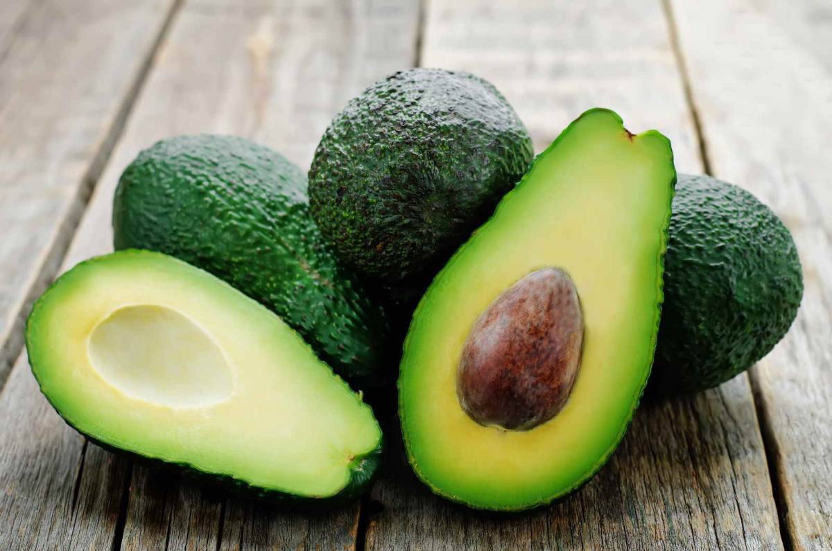 Avocado: come scegliere il migliore e come conservarlo