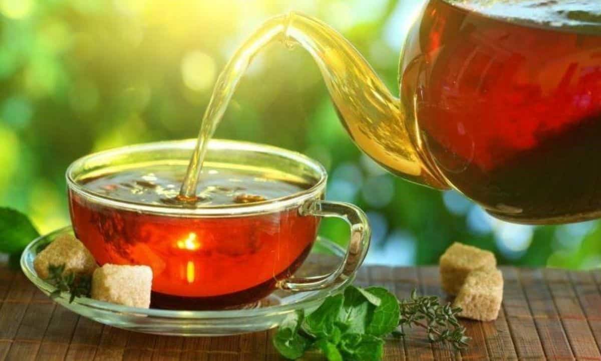 Infusi diuretici migliori quali sono