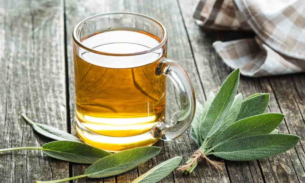 tisana infuso sgonfiante salvia