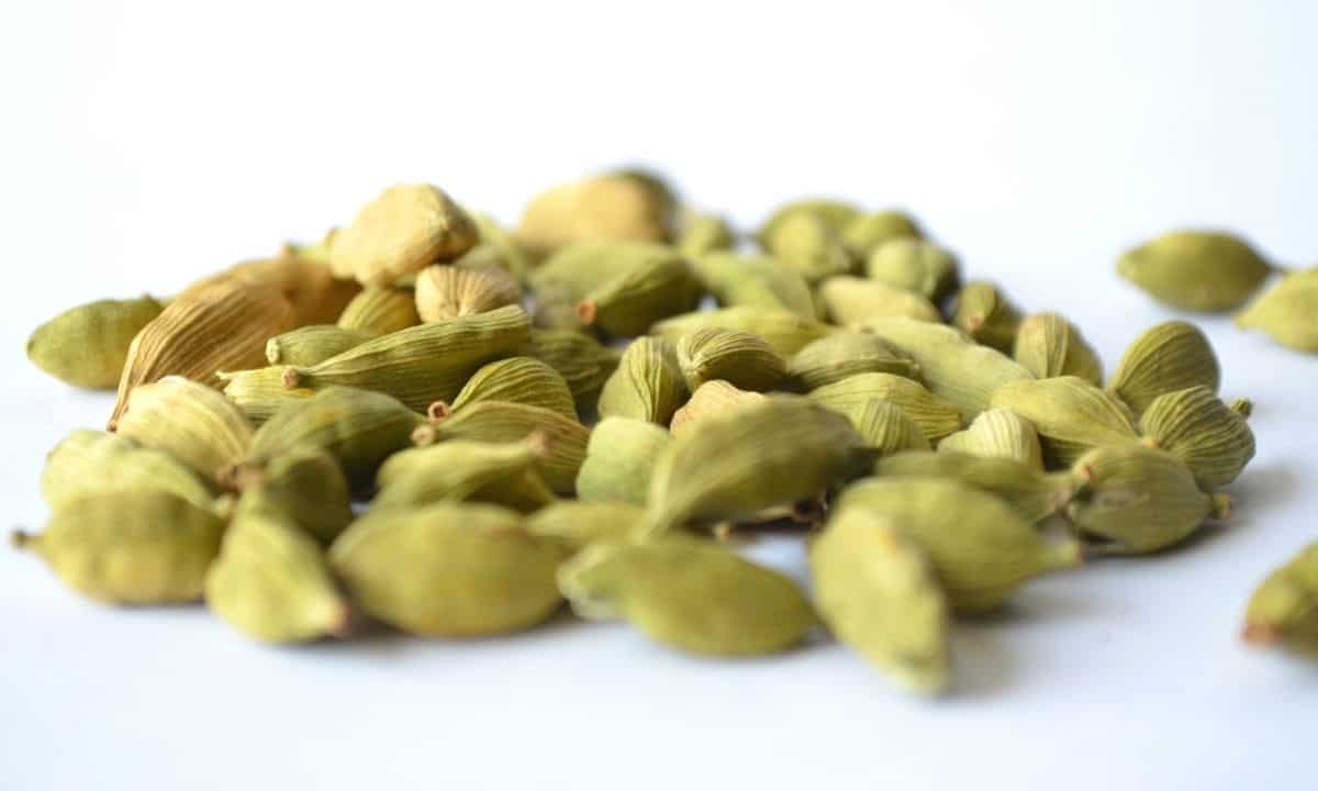 cardamomo benefici proprietà spezia